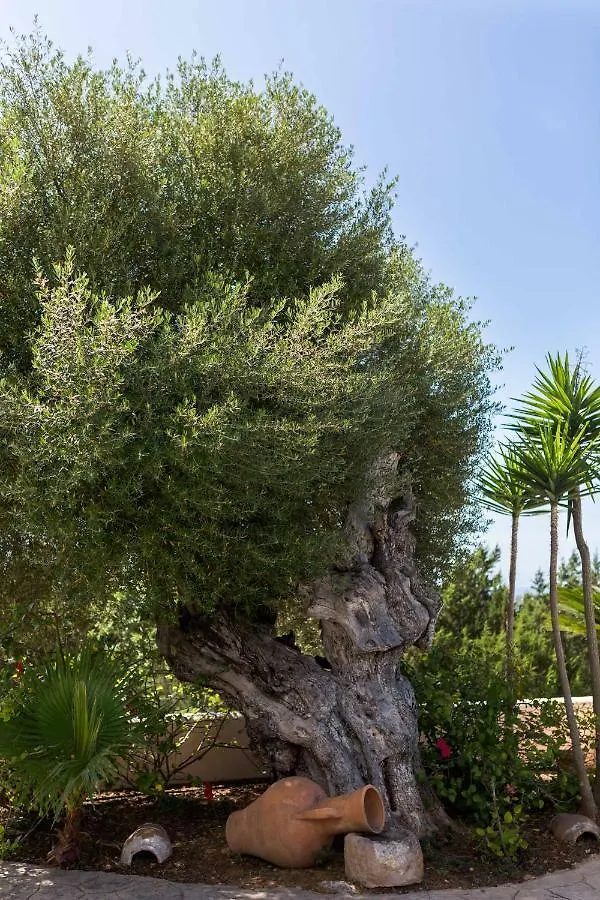 Villa Ca Na Vinya Cala Tarida   Cala Tarida (Ibiza)